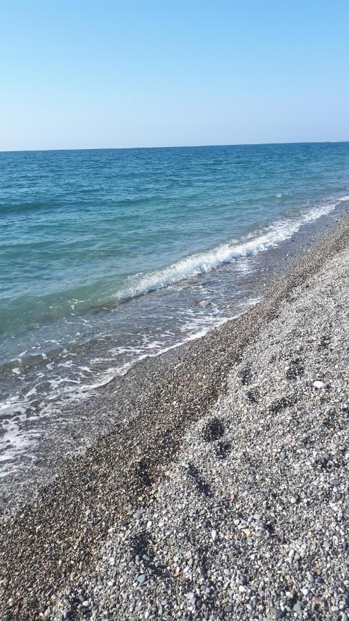 Домики У Лизы Под Ключ Πιτσούντα Εξωτερικό φωτογραφία